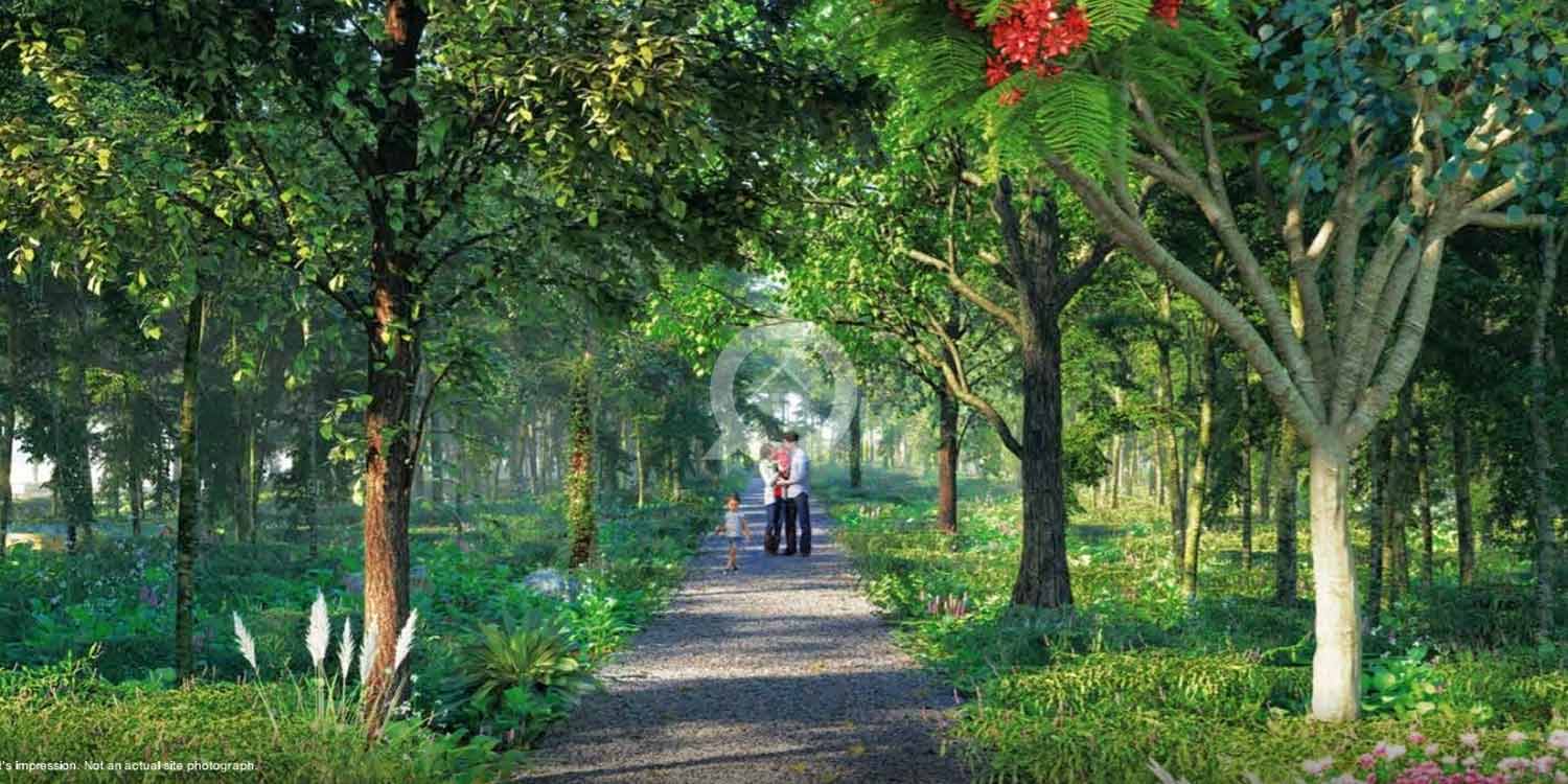 Godrej Woodland Plot with trees and greenery