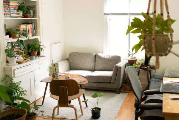 Property Buying Assistance