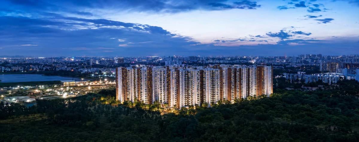 PRESTIGE EVERGREEN – Whitefield