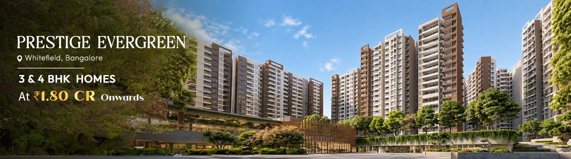 PRESTIGE EVERGREEN