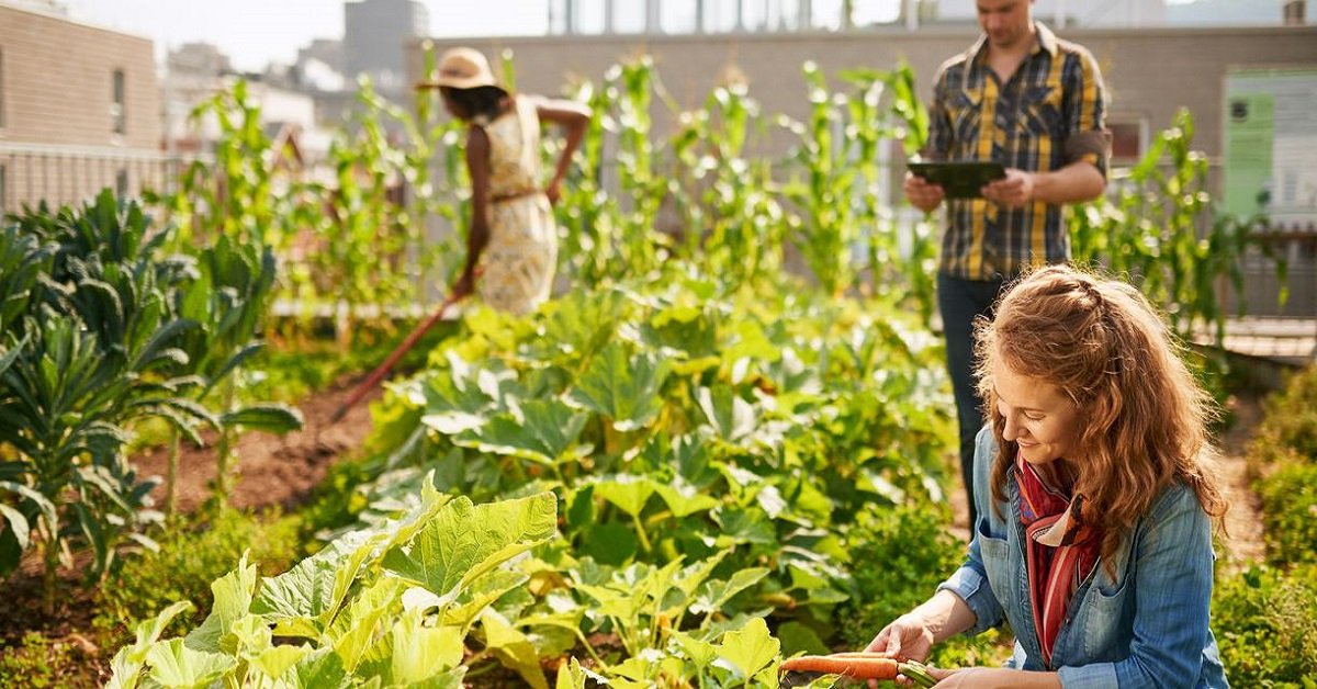 Amber Meadows Villa with community farming