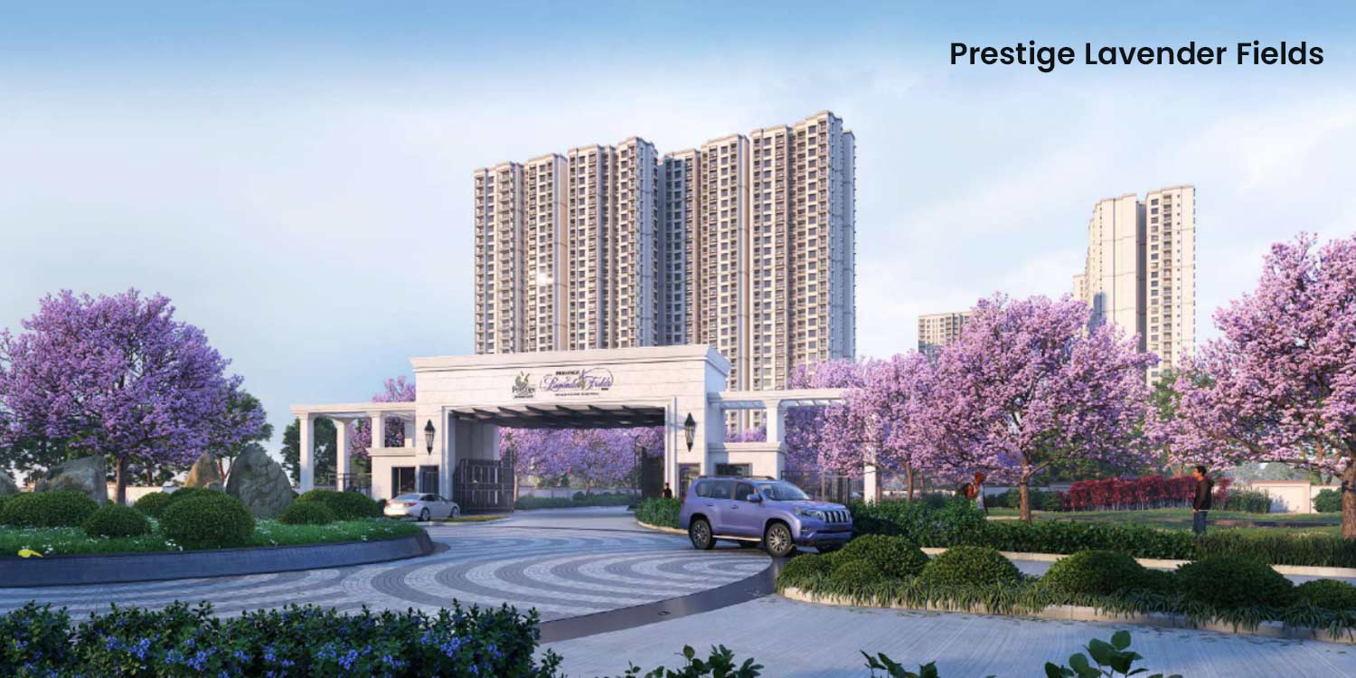 tranding properties