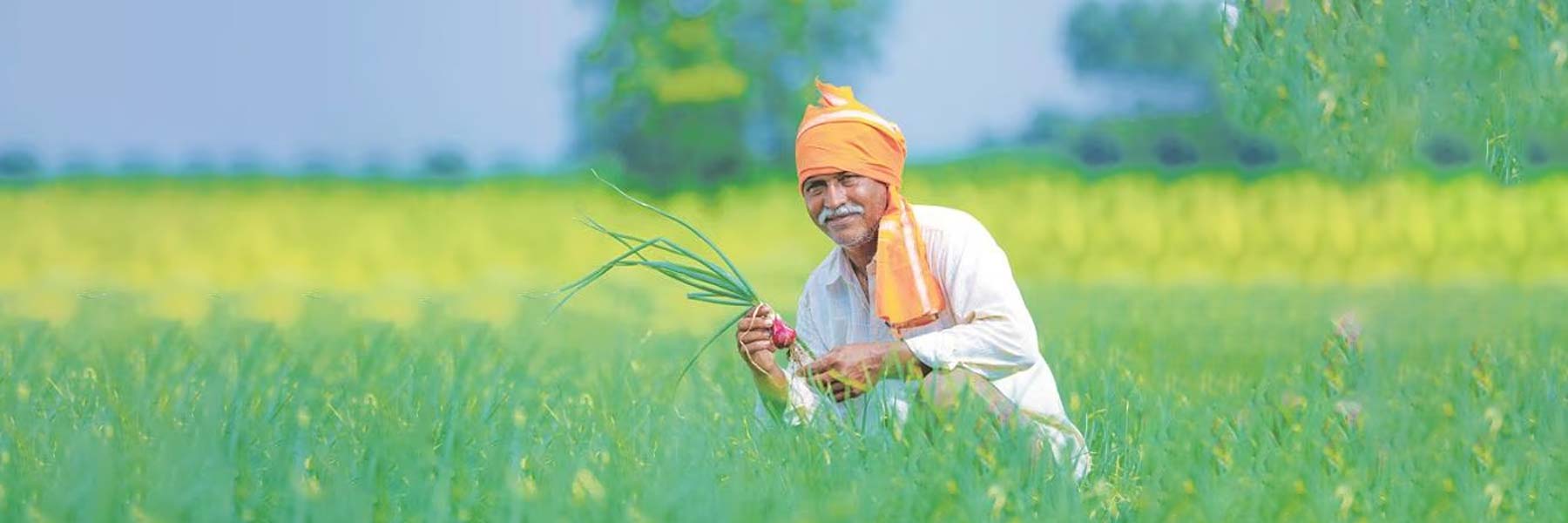 news images